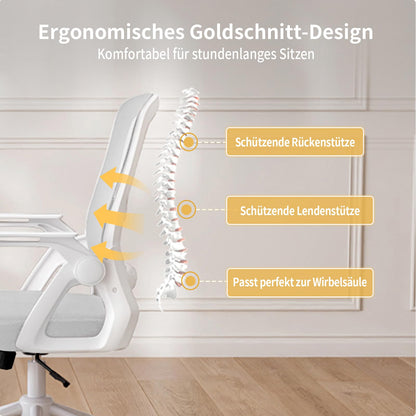 naspaluro Bürostuhl Ergonomisch mit Hochklappbare Armlehnen Grau